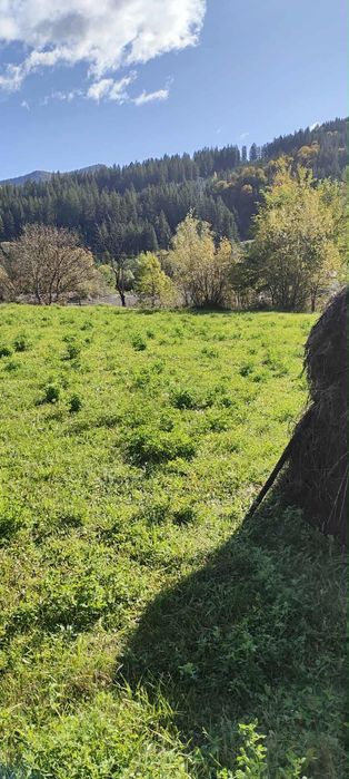 Teren de vânzare în zona muntoasă