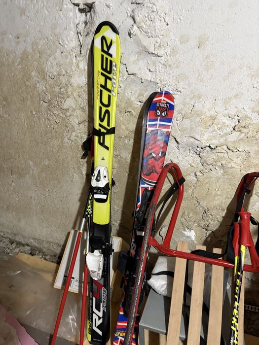 Schiuri adulti si copii