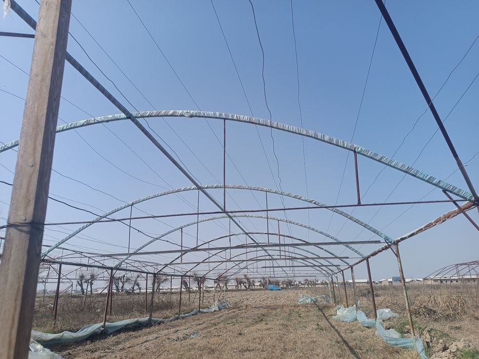 Issiqxona sotiladi faqat klyonkasi yuq boshqa xamma narsani bor