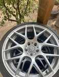 Jante Aliaj  r19