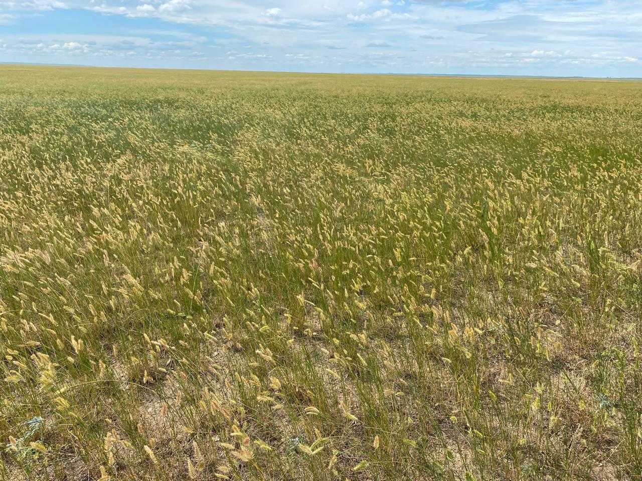 Продам пашню -  1360 га