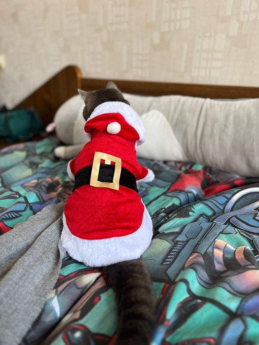 Отдам новогодний костюмчик для кошек и собак