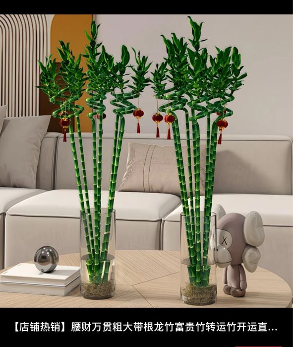 Бамбук символ счастья и благополучия!