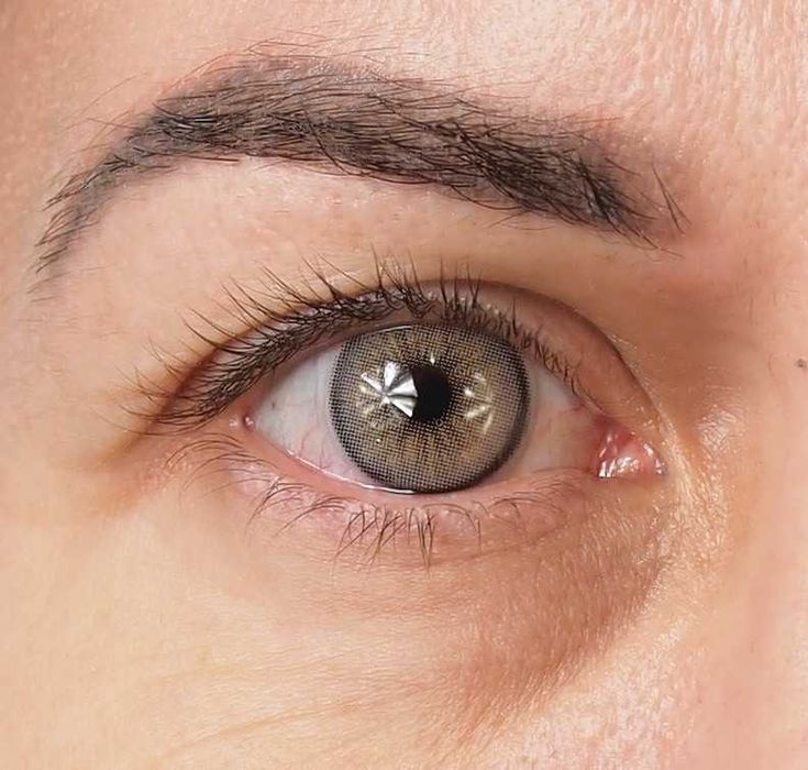 Orlando N - lentile de contact colorate anuale, pachet complet