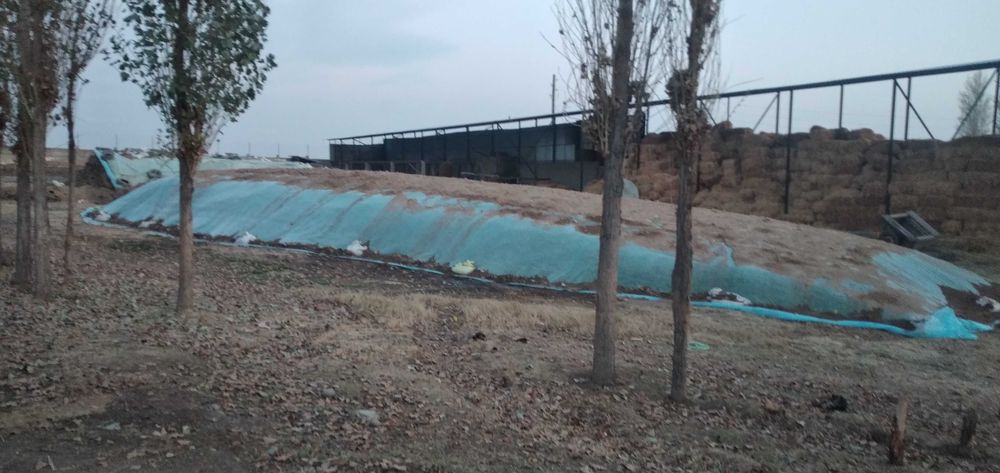 Сдается в аренду ферма