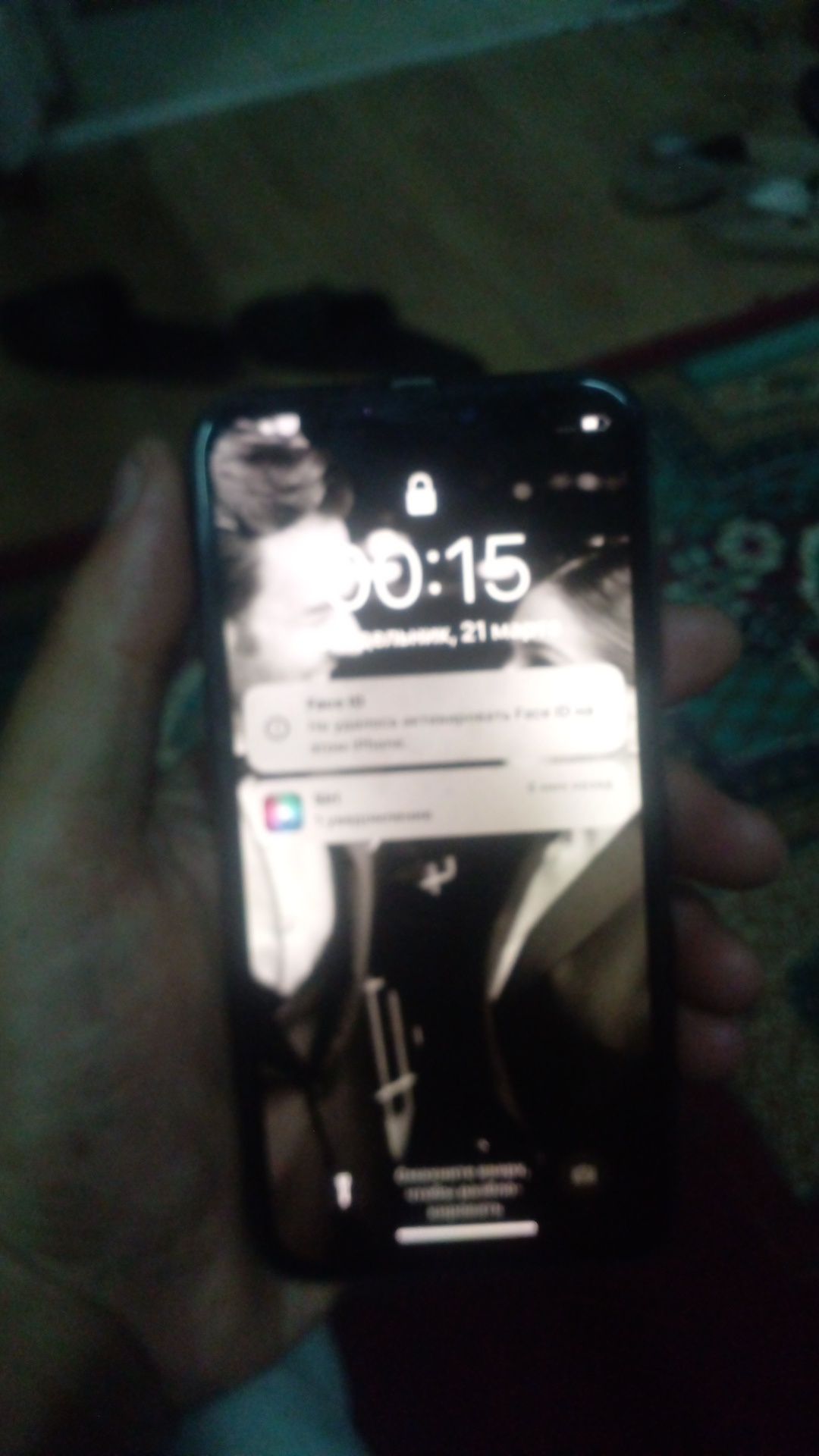 Iphone x/256/y.e/100