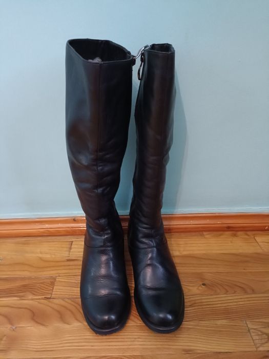 Женские сапоги бренда Basconi