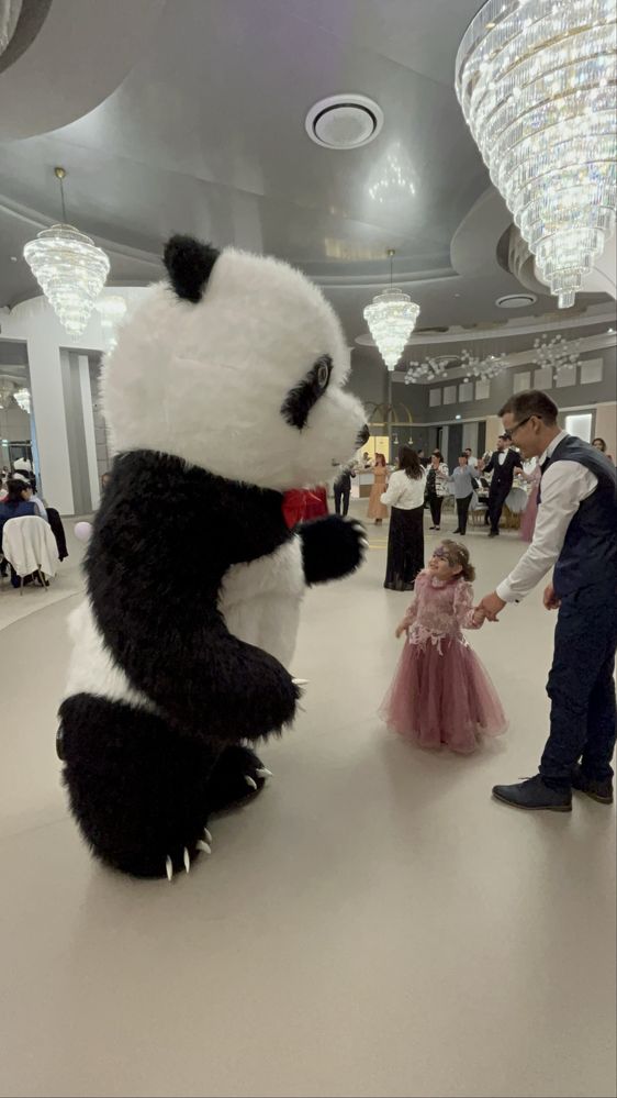 Ursul Polar&Ursul Panda evenimente