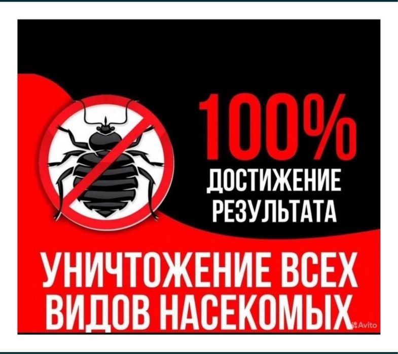 Дезинфекция клопы термиты