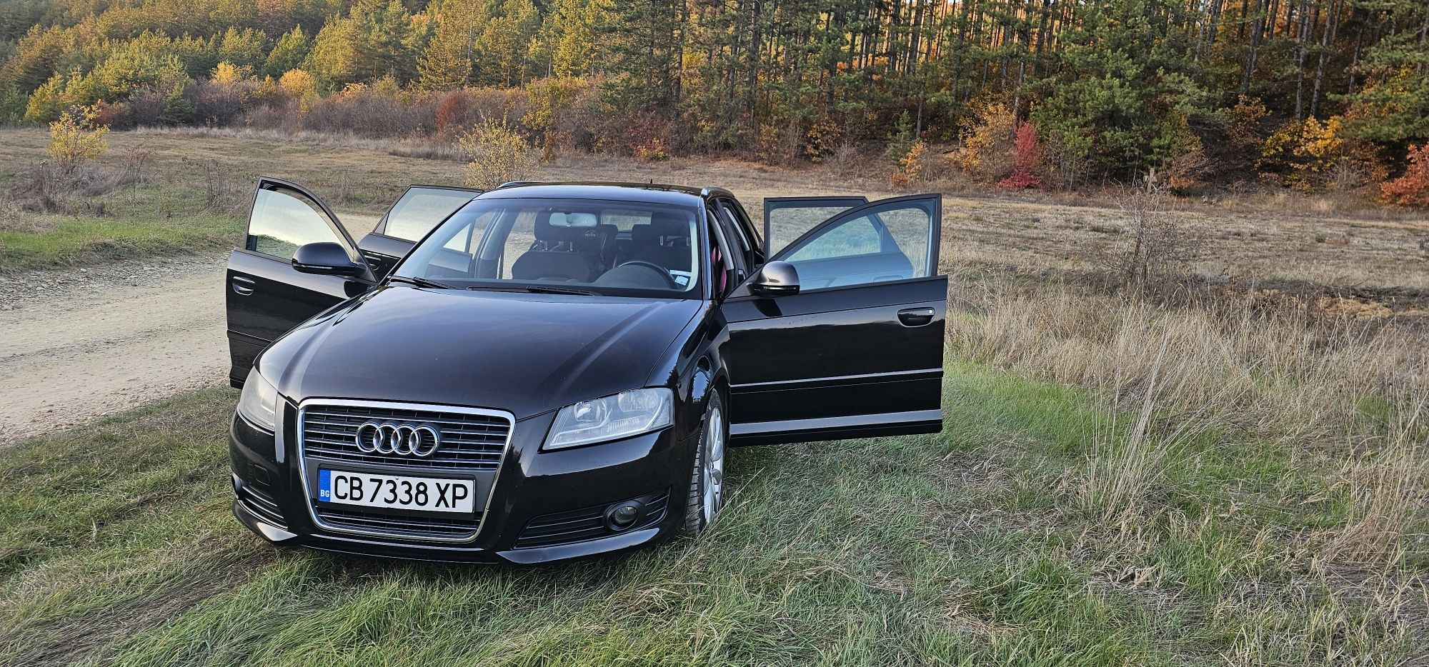 Audi A3 1.8 T FTSI 8P