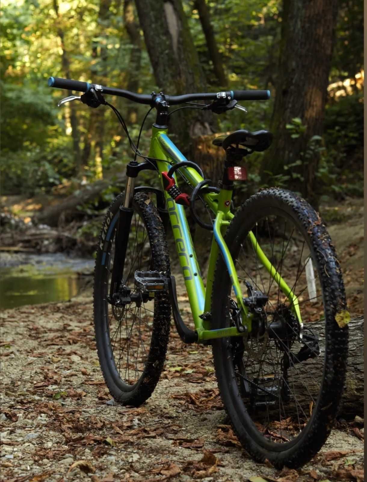 Carrera Sulcata 29" LTD Edition – размер M