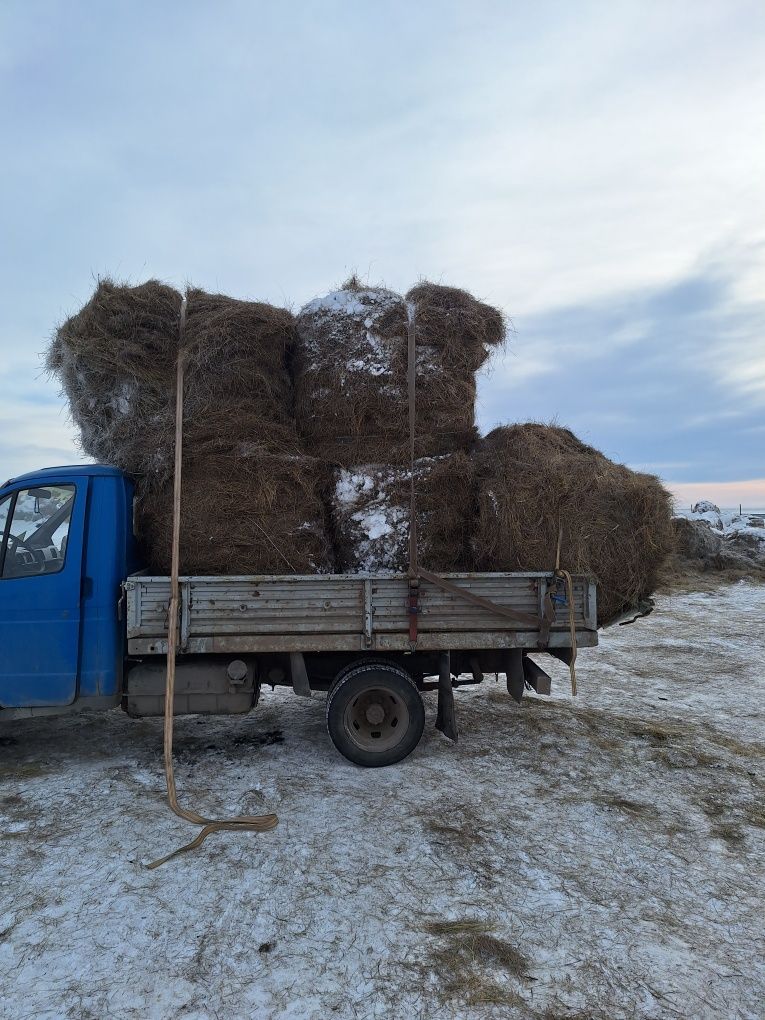 Продам сено в рулонах