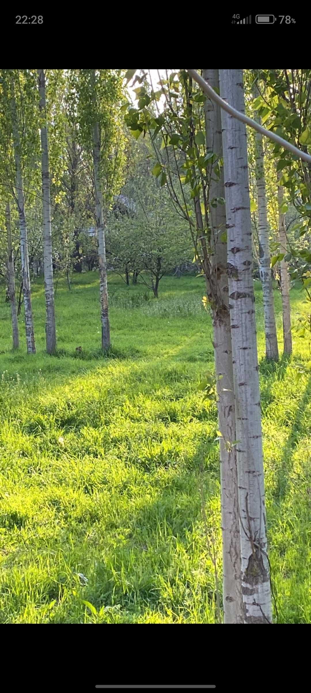 Каскасуда уй сатылады