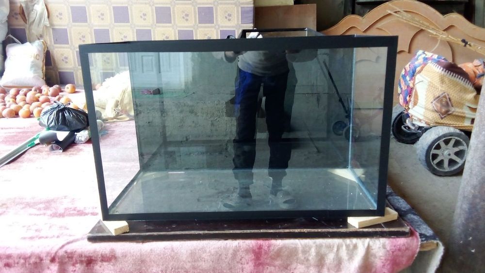 100 litirlik akvariumlar sotiladi