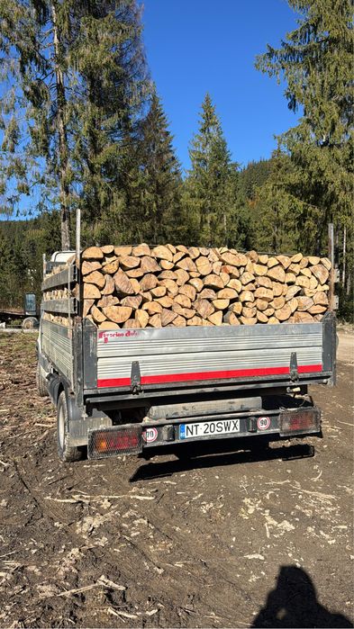 Lemn de foc fag taiat la dimensiunea dorita