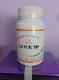 Laminine LifePharm