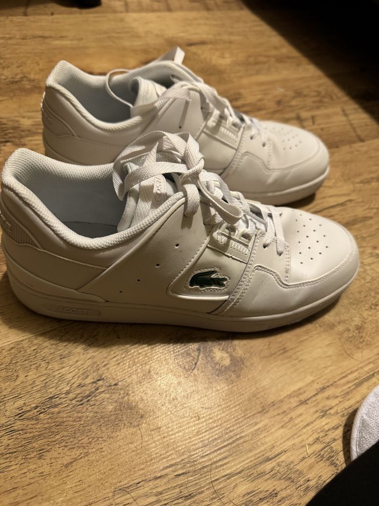 Lacoste Sneakers