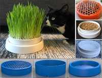 bol cu grilaj pentru iarba pisicii - diametru 8cm- negru,maro,rosu etc