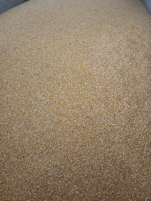 Царевица зърно реколта 2025г.