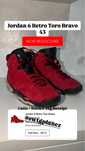 Jordan 6 Retro Toro Bravo
