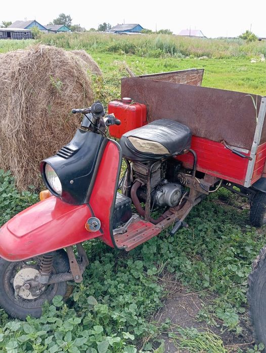 Продам муровей .