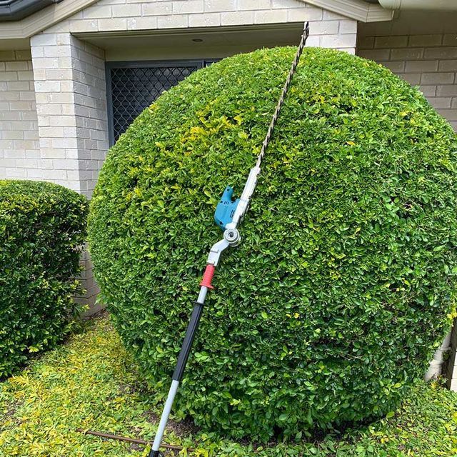 Amenajare și întreținere spații verzi