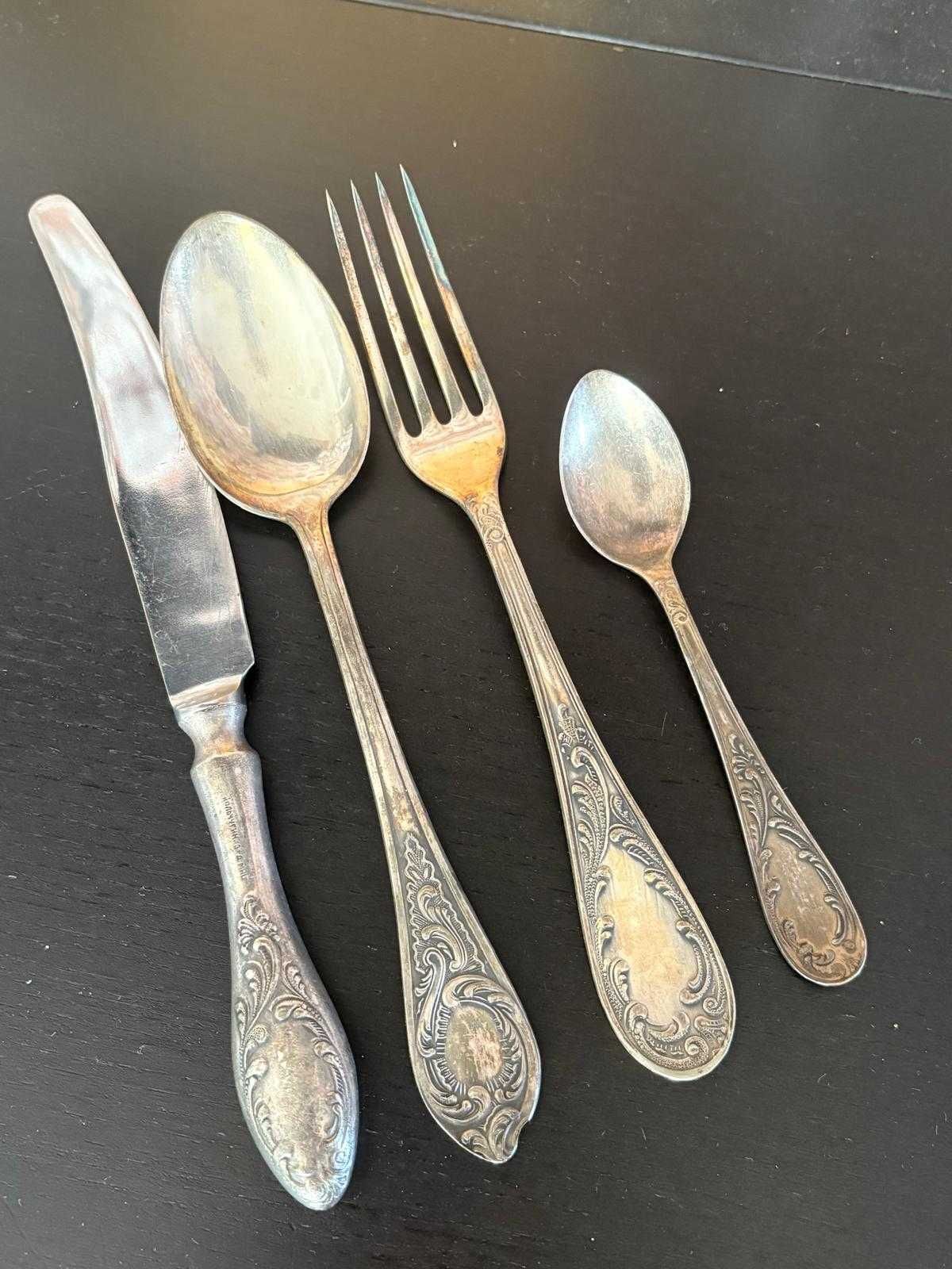 Set 48 tacamuri argint