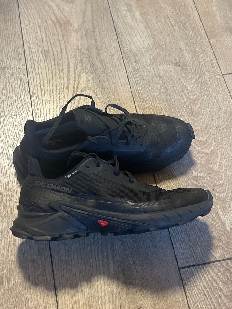 SALOMON : Alpha Cross 5 - Gore-Tex 43 1/3 размер / Оригинал