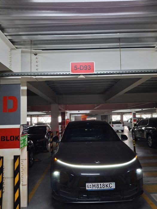 Lixiang l6 max eng fuli