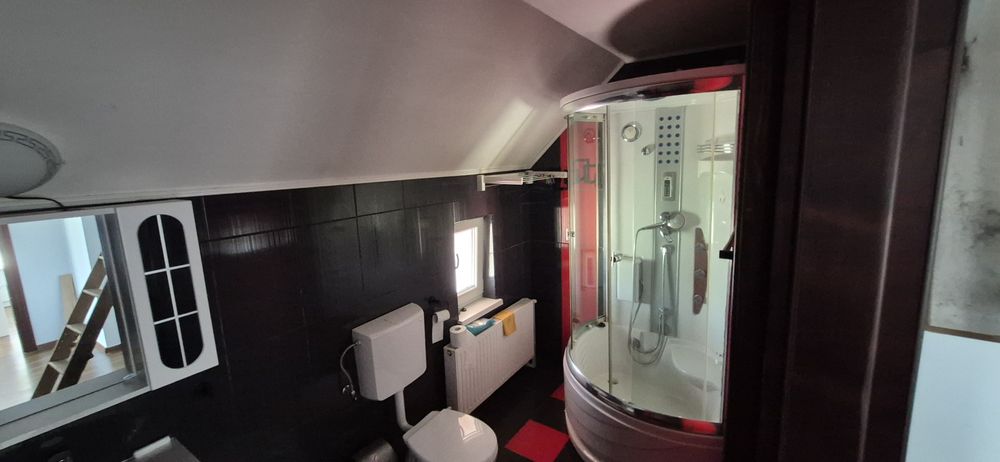 Inchiriez casa, merita vazut ! Sf Ilie Profi
