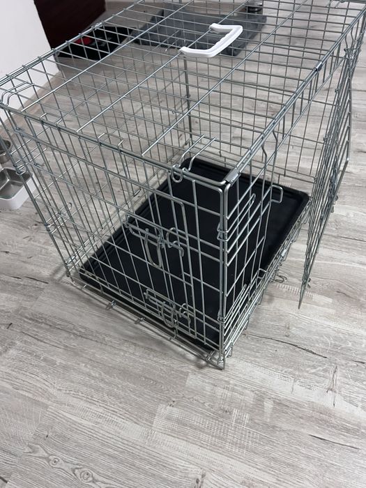 Vand cusca animale de companie