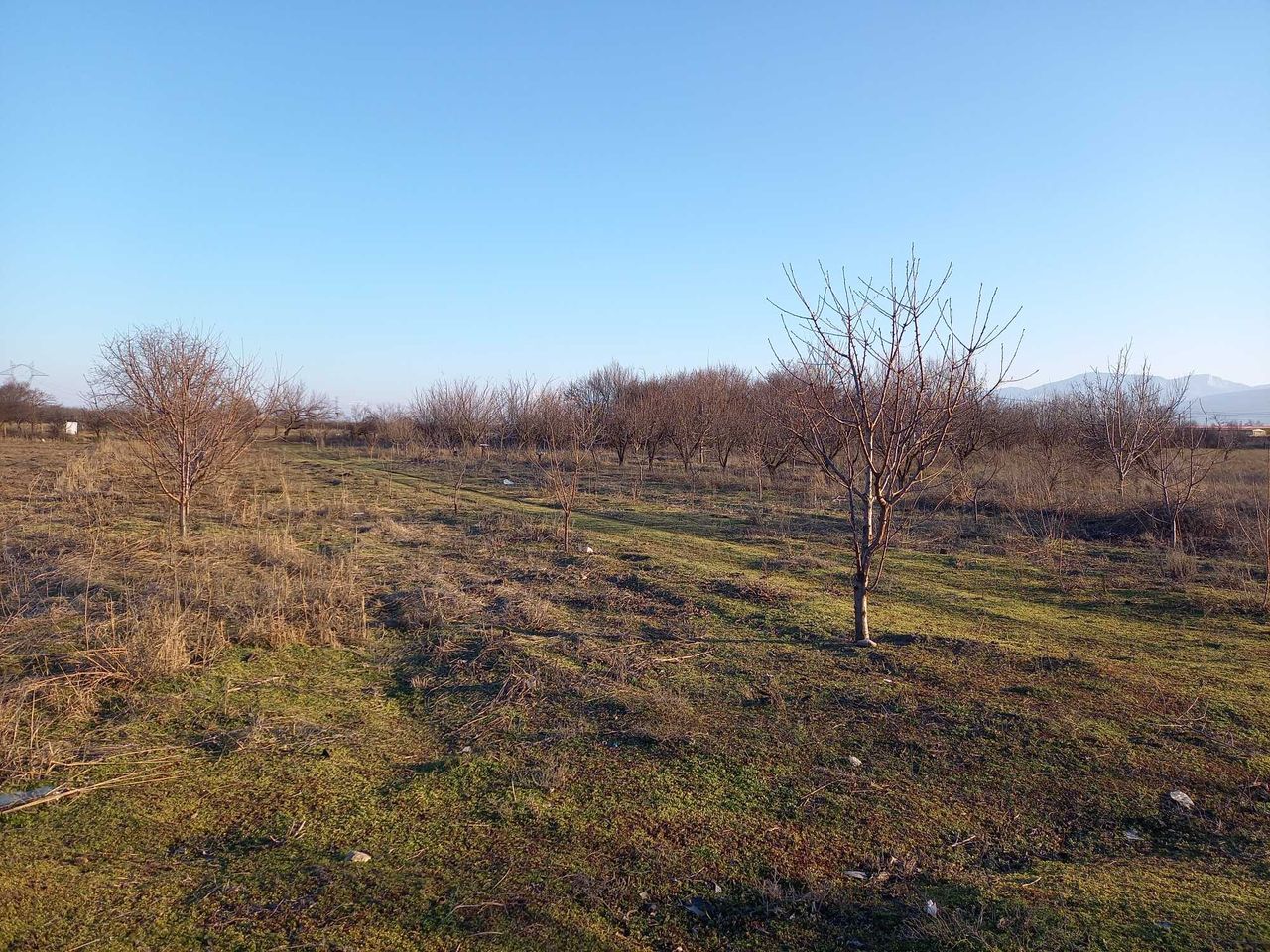 Продава се Парцел в с. Крумово, Област Пловдив - 4 кв.м за 20000 €/кв.м - Снимка #2