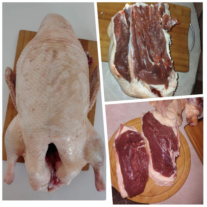 Продам уток мясной породы