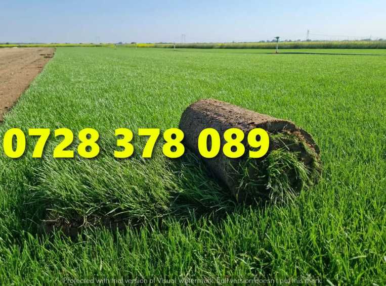 Rulouri de gazon plus Montaj !