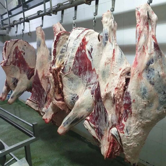 Продавам Месо тешеко от млади телета