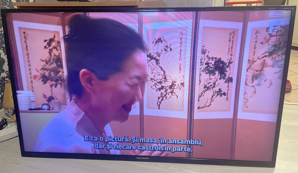 televizor wellington 144 cm