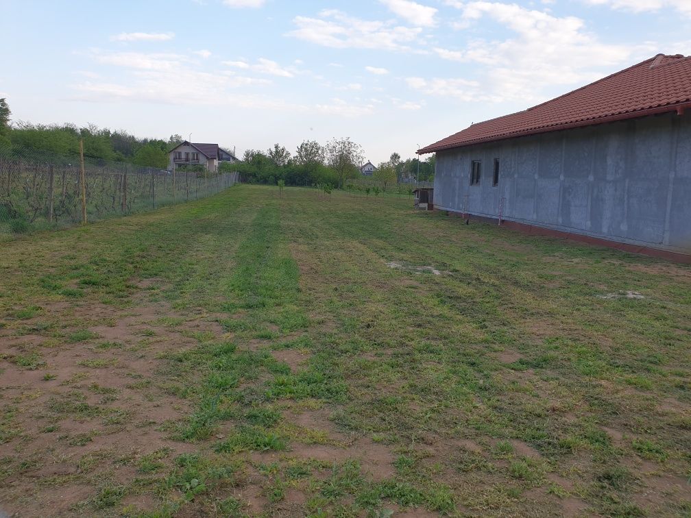 500mp Teren intravilan Pelendava