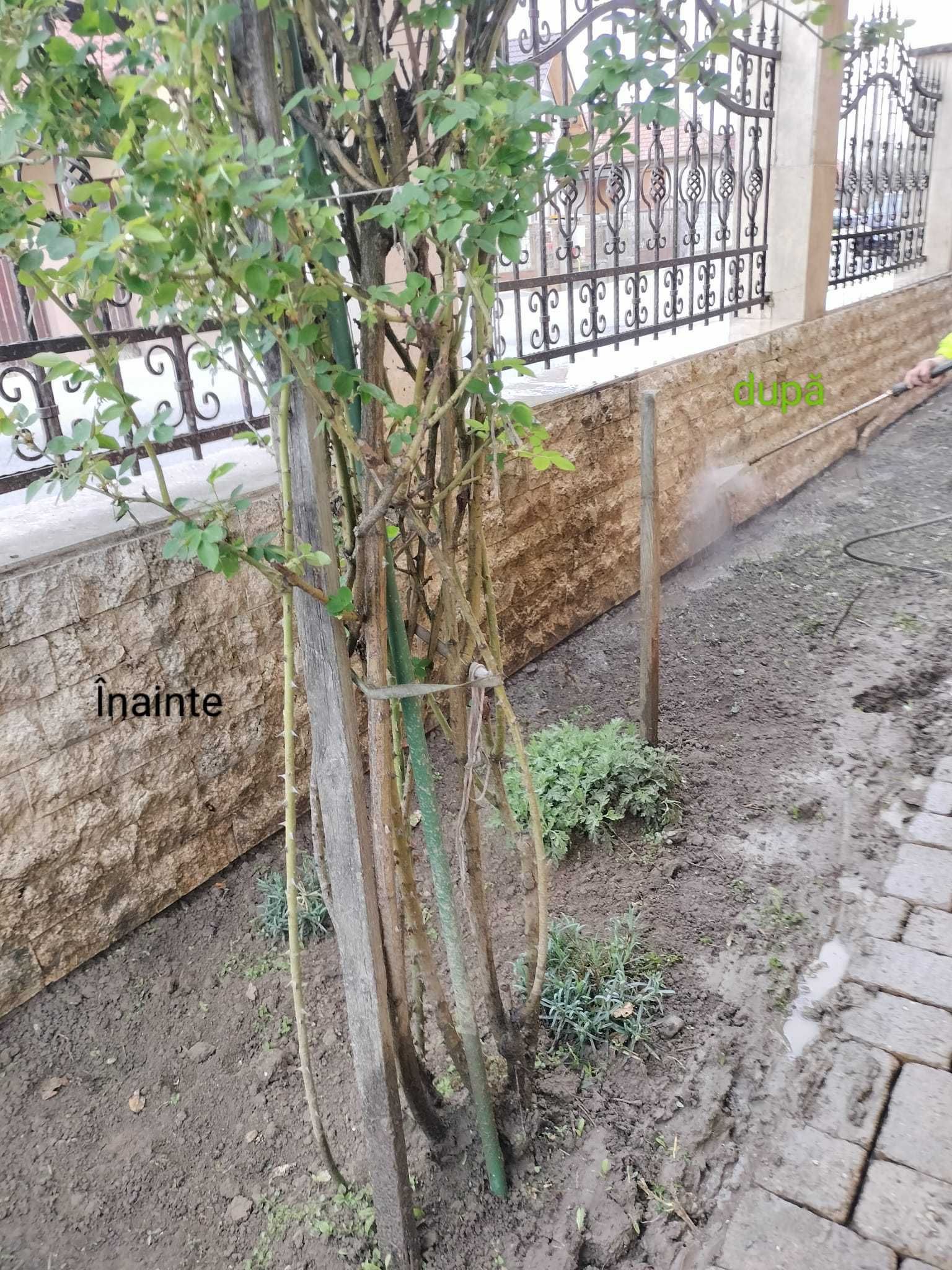 Spalam/curatam pavaje,terase,fatade,garduri,beton,suprafete exterioare