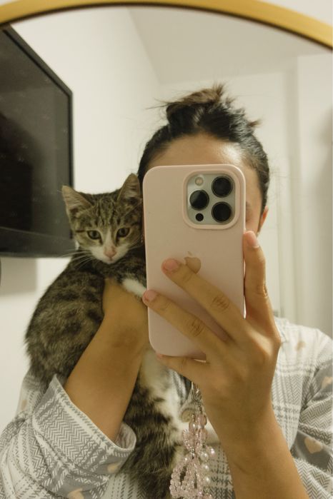 Отдам котёнка в хорошие руки!