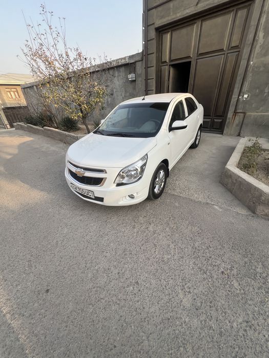 Cobalt 2023 kraska toza