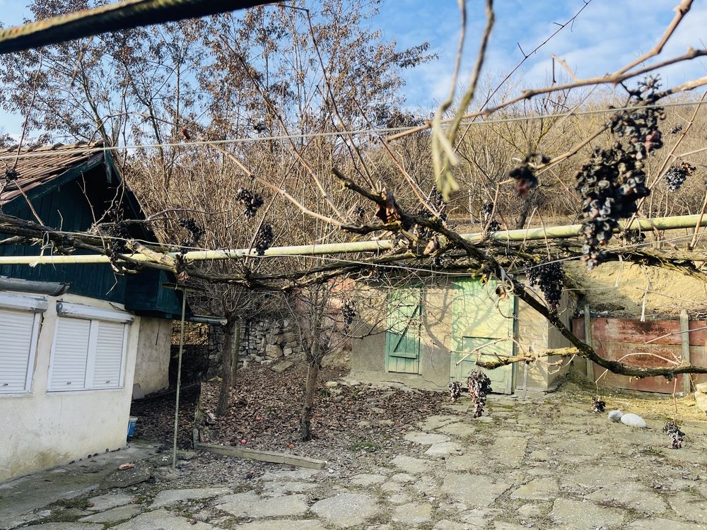 De vanzare casa in Lunca Muresului