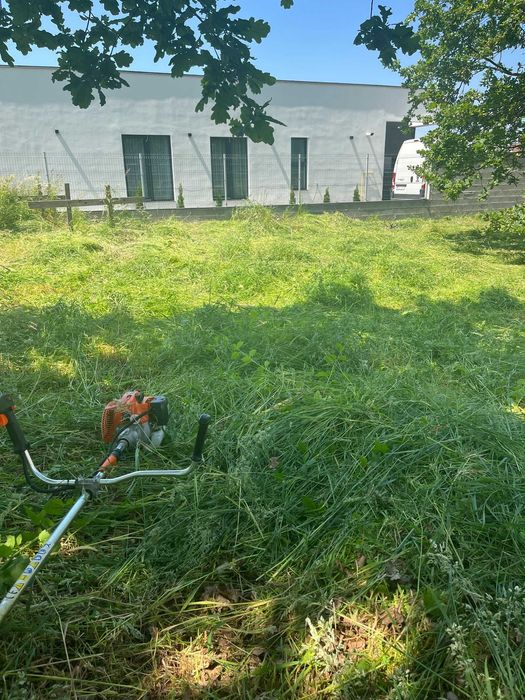 Tund iarba, gazon, întrețin exterioare, toaletez pomi, strang frunza.