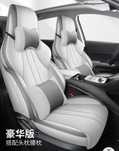 Чехол для BYD Song plus chanpion