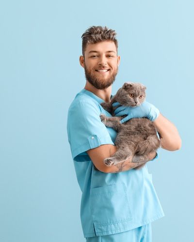 Ветеринарный врач