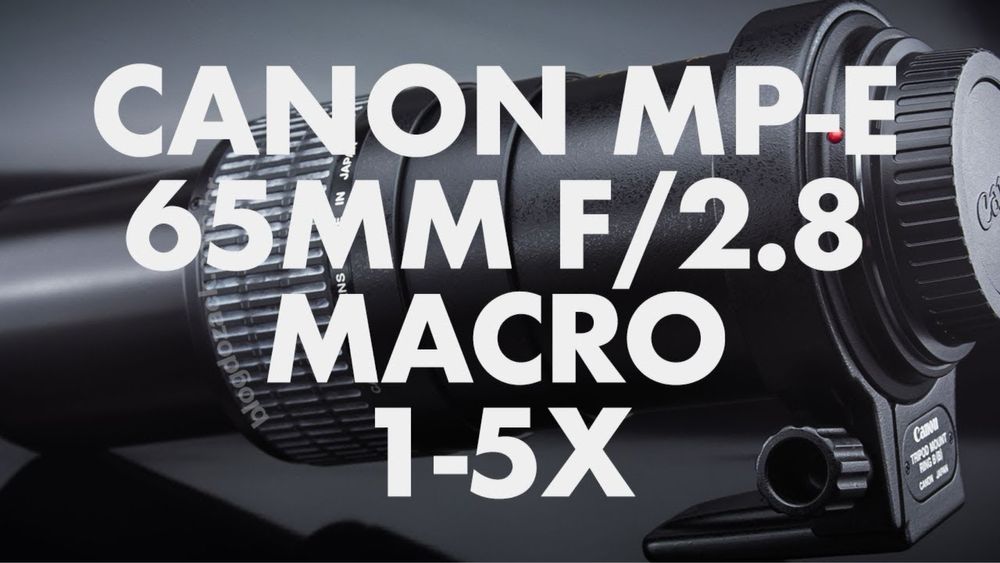 Canon 250D + макро объектив Canon mp e65 с гарантией