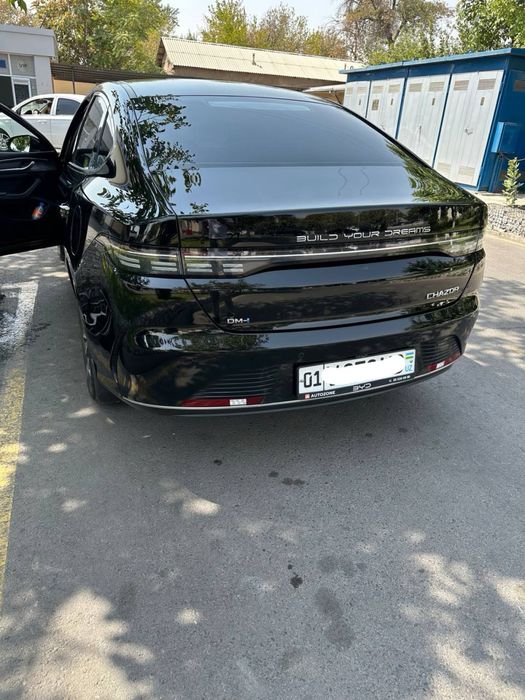 Chazor 2024 1-pozitcia qora