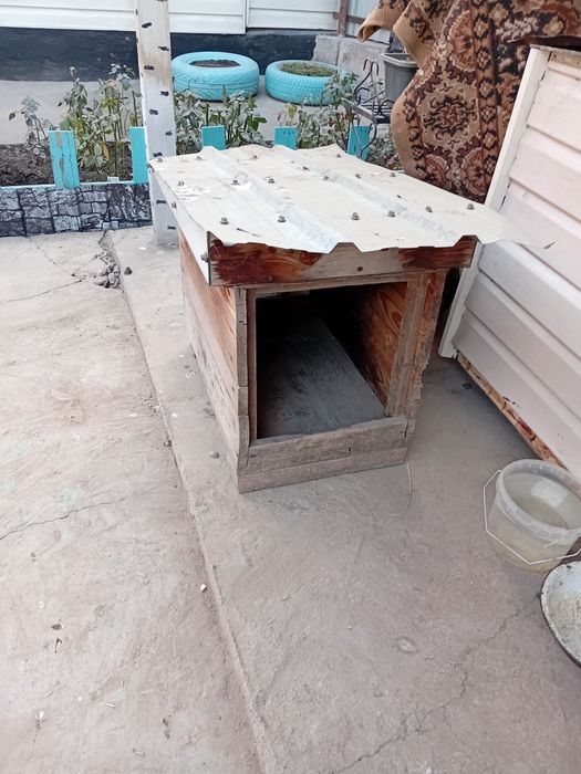 Отдам бутку для собак