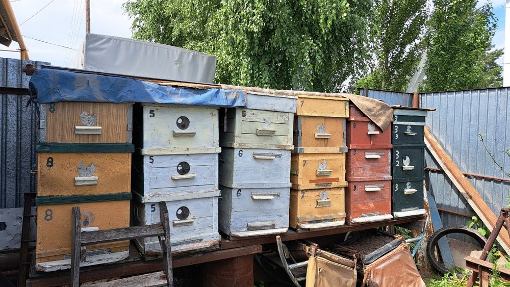 Продам улья для пчёл