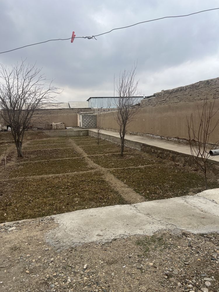 Navoiy shahar Narpay buston 20-maktab tomondan yer sotiladi 5 sutiq y