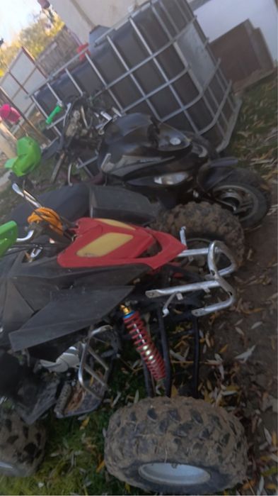 De vânzare toate trei